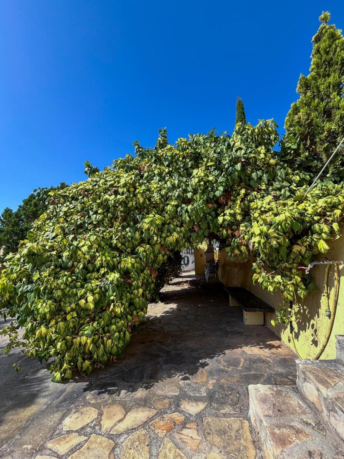 Casa Mar Benissa Calpeアパートメント エクステリア 写真