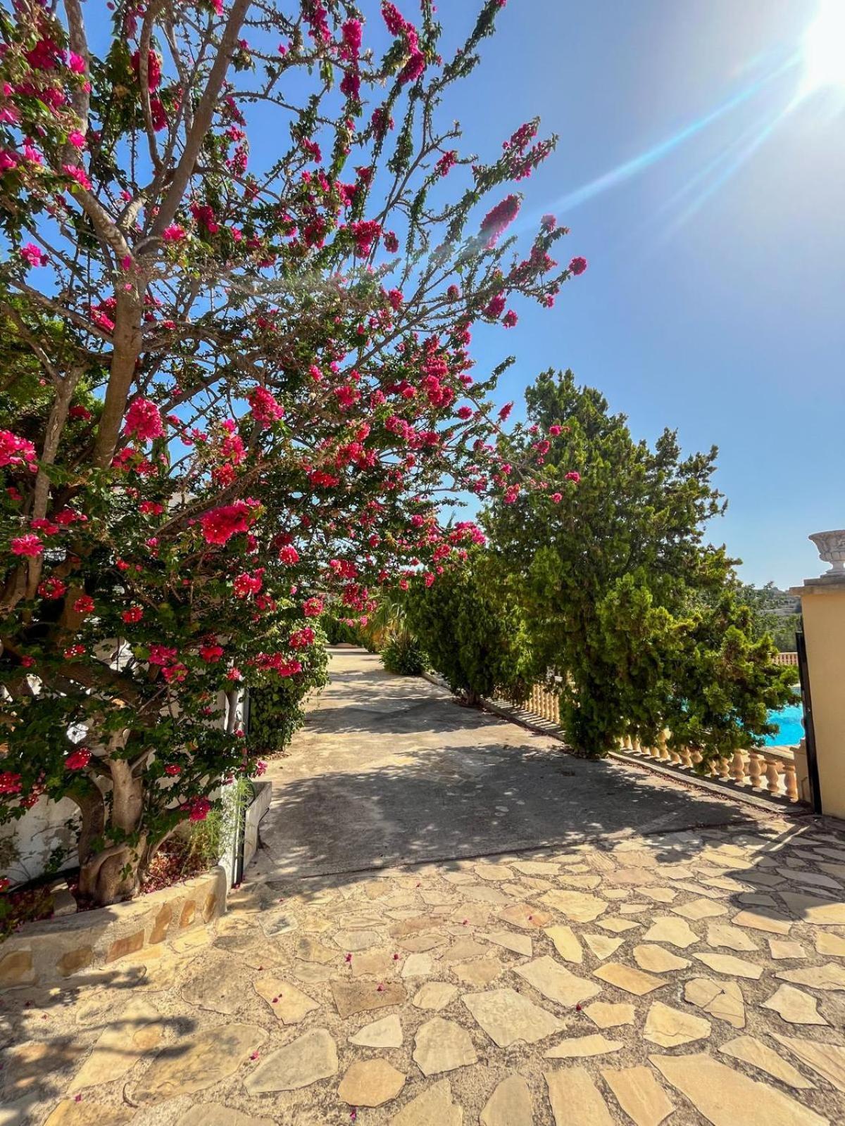 Casa Mar Benissa Calpeアパートメント エクステリア 写真